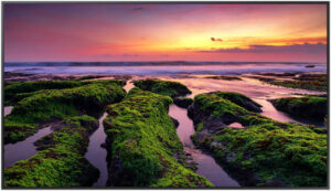 Samsung QBB Quantum Processor Smart Signage, 50" VA 4K UHD Display, 75Hz Refresh Rate, 8ms Response Time, Tizen 6.5, 8GB Flash Memory, Free VESA Mount, Black | LH50QBBEBGCXUE