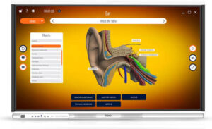 TREND Q Series Interactive Flat Panel, 86" 4K UHD QLED Display, Octa-core Processor, 16GB RAM, 256GB ROM, Android 13, AI Conferencing & Multi-Touch, High End Model, Black | TR-IFQ86T82