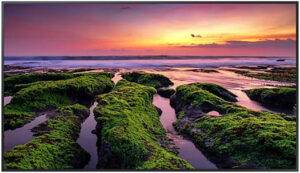 Samsung QBB Quantum Processor Smart Signage, 65" VA 4K UHD Display, 75Hz Refresh Rate, 8ms Response Time, Tizen 6.5 OS, 8GB Flash Memory, Free VESA Mount, Black | LH65QBBEBGCXUE