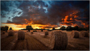 Samsung VMB-U Videowall, 55" FHD IPS Display, 8ms Response Time, Ultra Narrow Bezel, Non-Glare Panel, 1200 1 Contrast Ratio, VESA Mount Compatible, IP5X Rating, Black | LH55VMBUBGBXUE