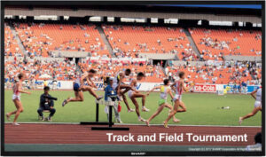 SHARP VC652HNS 65" Interactive Touch LED Display, UltraHD 4K Resolution, 8ms Response Time, 2x10W Speakers, 1200 1 Contrast, HDMI, USB 2.0 x2, USB-C, Free VESA Mount, Black | VC652HNS