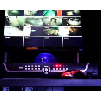 Western Digital Purple 8TB 3.5'' Surveillance Hard Drive, CMR Recording Technology, 128 MB Cache Size, 5640 Rpm, SATA 6.0 Gb/s | WD84PURZ - Image 4