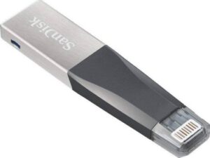 SanDisk 256GB Ixpand Mini Flash Drive | SDIX40N-256G-GN6NE